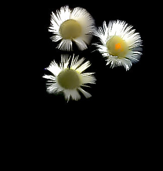 67B1P57R3N3-Edit.jpg